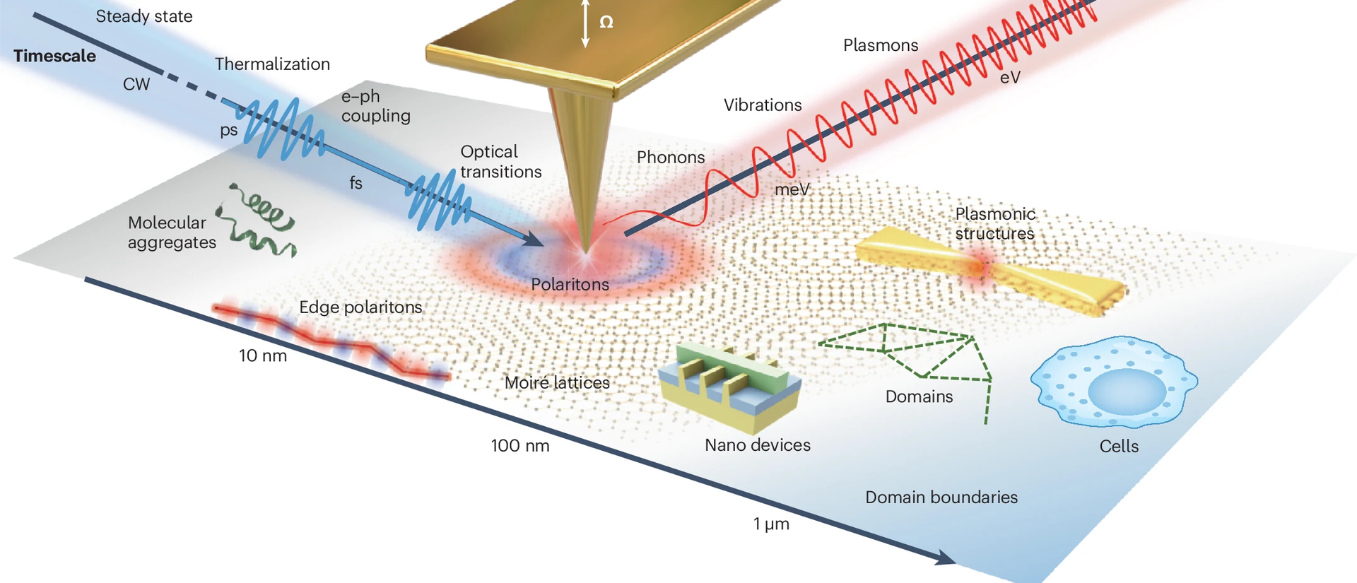 Scanning near-field optical microscopy